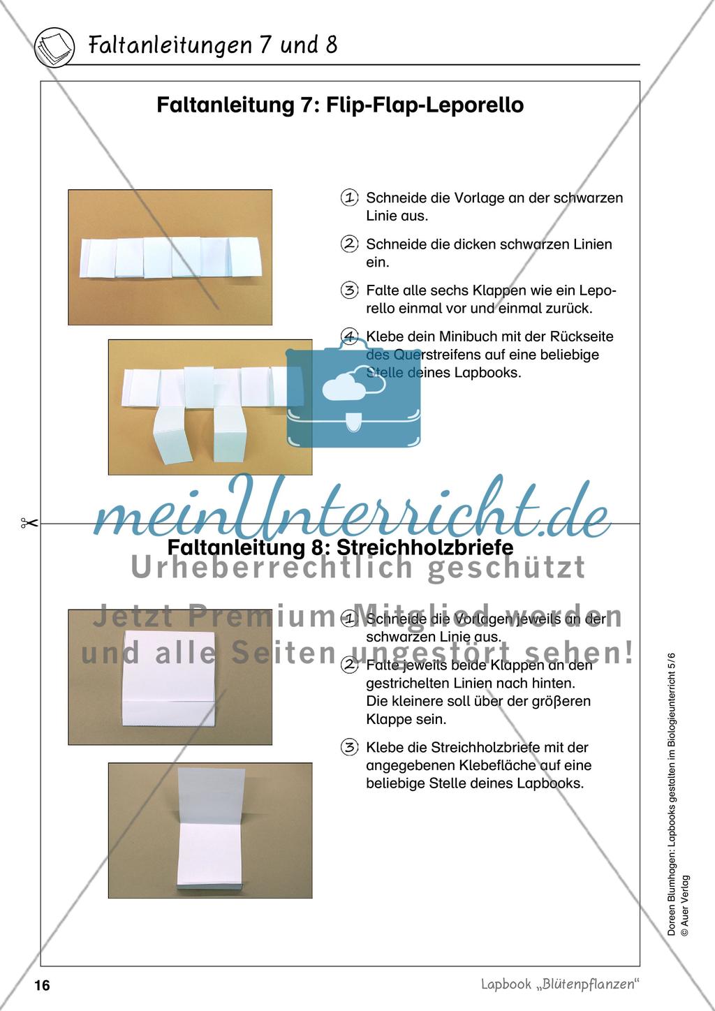 Lapbook