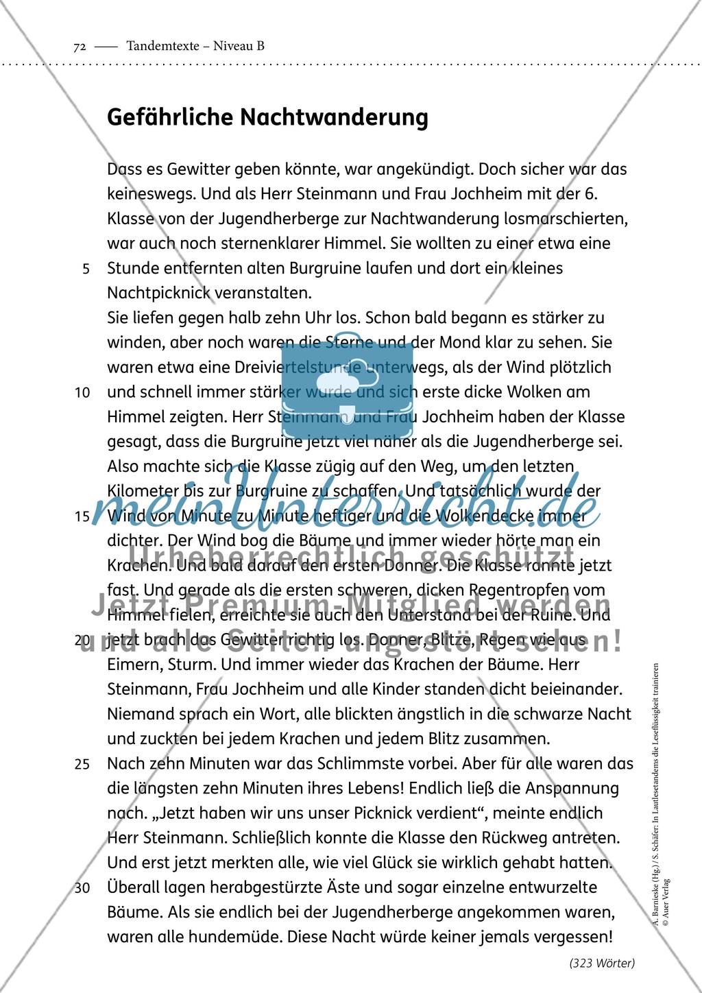 Tandemtexte - Niveau B - Teil 2 Preview 13