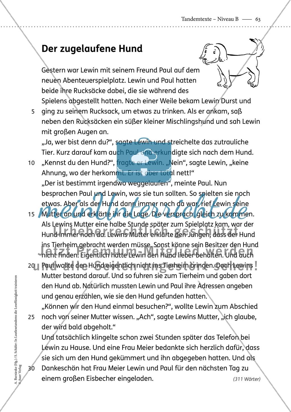 Tandemtexte - Niveau B - Teil 2 Preview 4