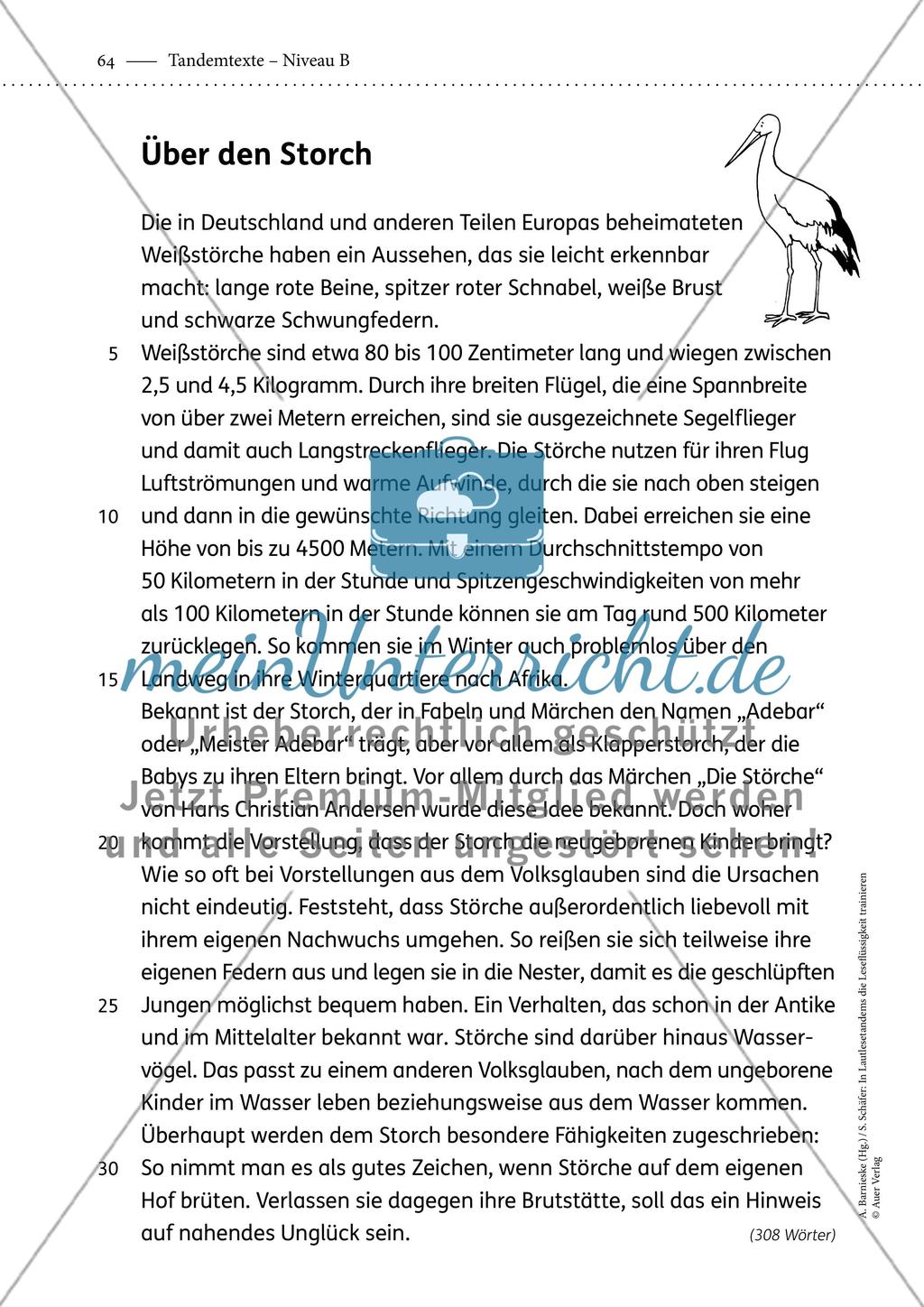 Tandemtexte - Niveau B - Teil 2 Preview 5