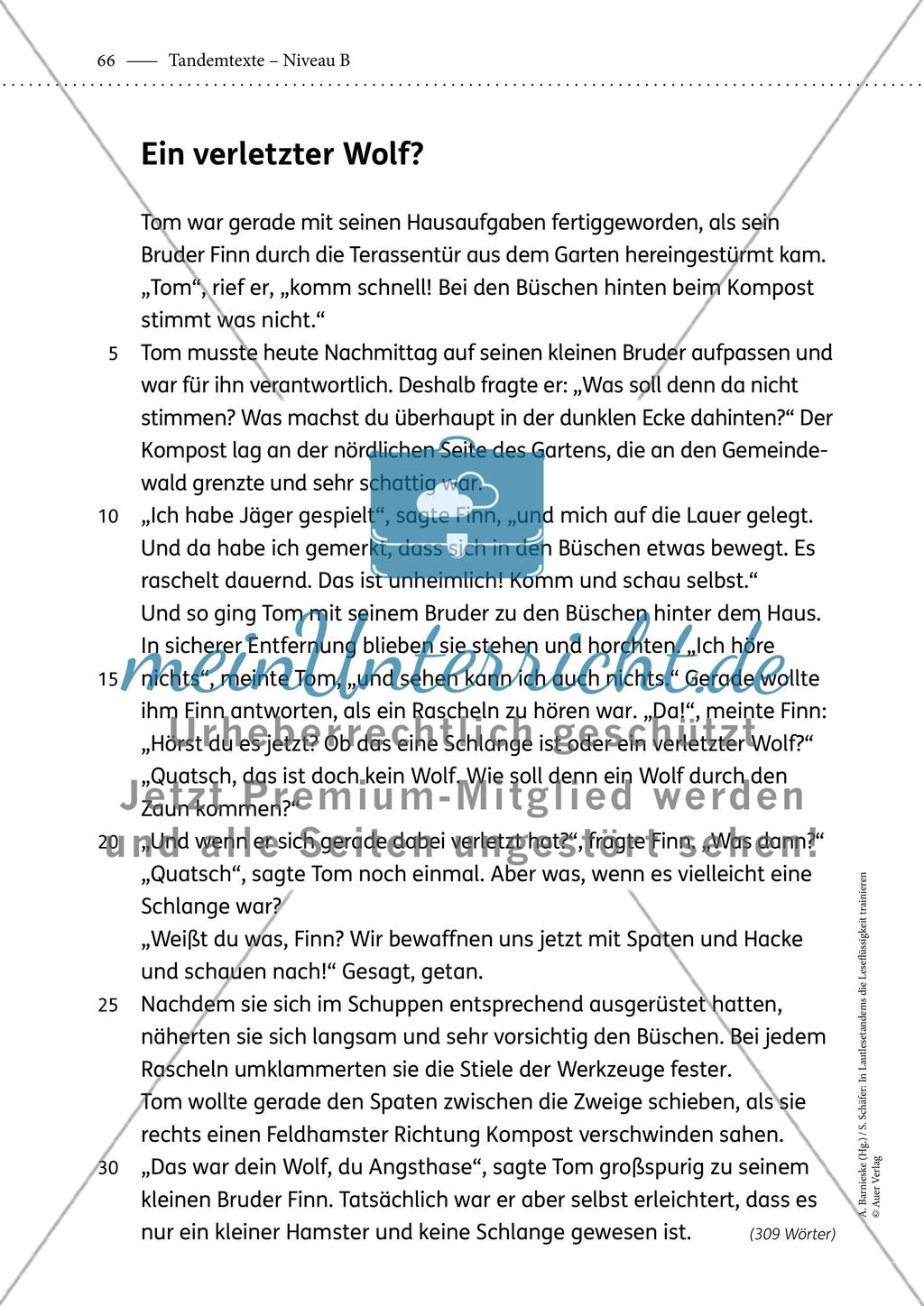 Tandemtexte - Niveau B - Teil 2 Preview 7
