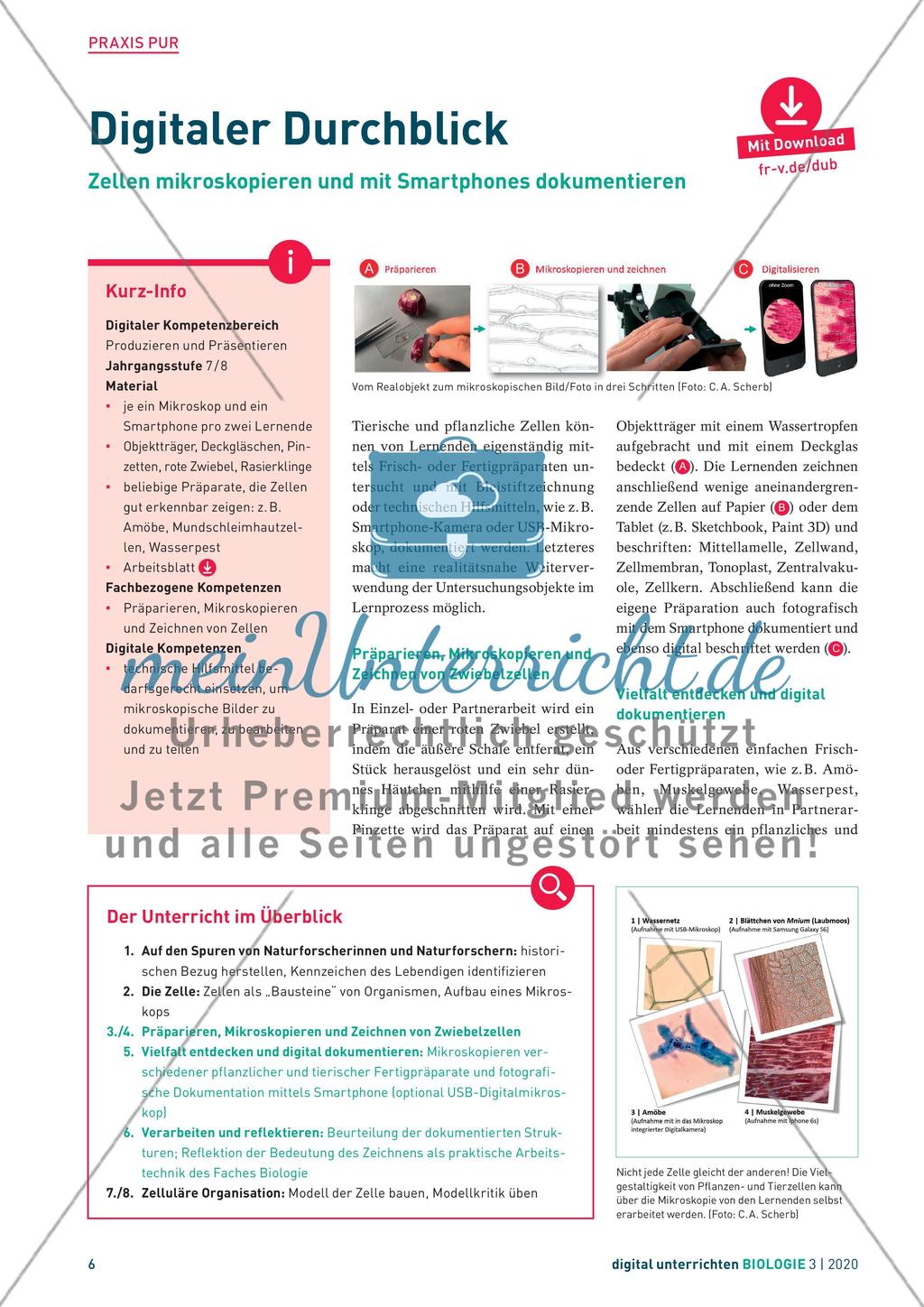 digital unterrichten – Biologie -3 Preview 6