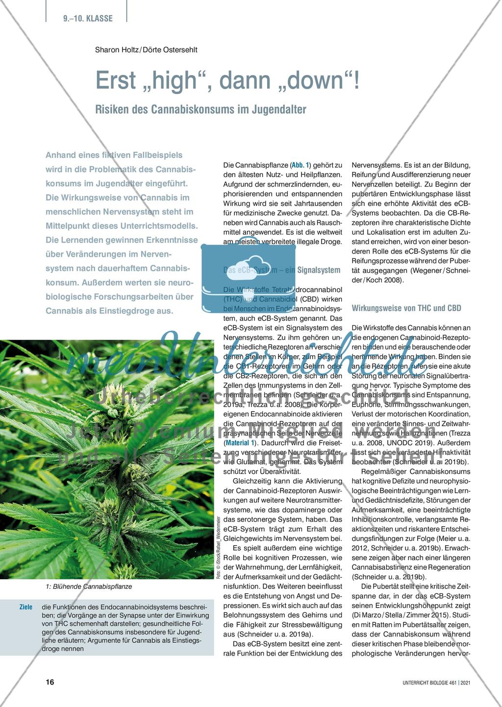 Erst „high“, dann „down“! Preview 1