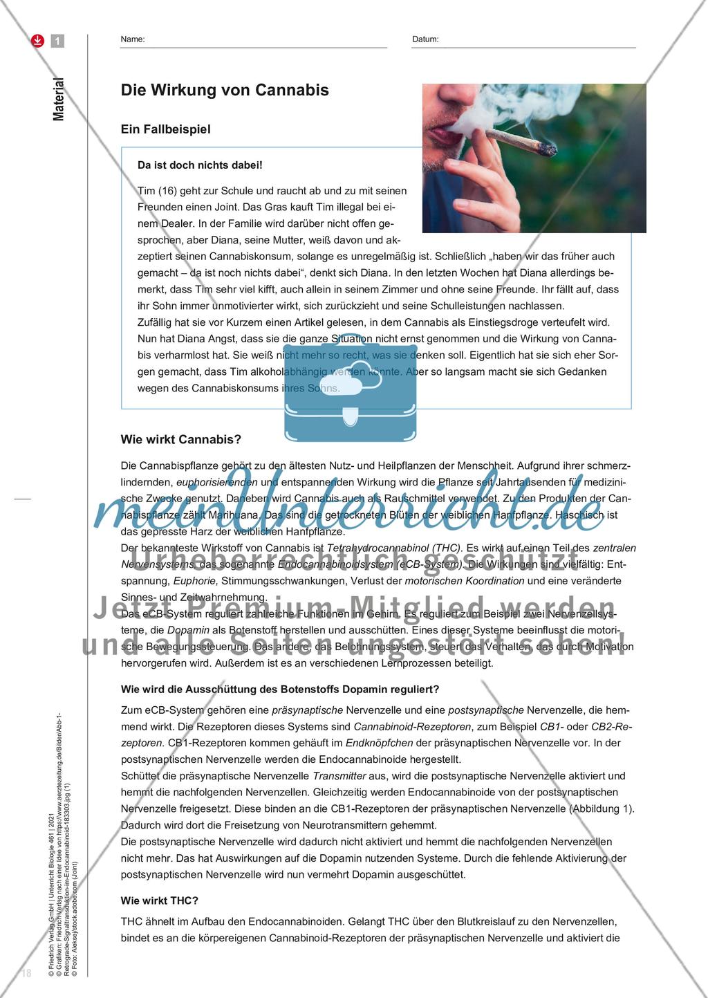 Erst „high“, dann „down“! Preview 3