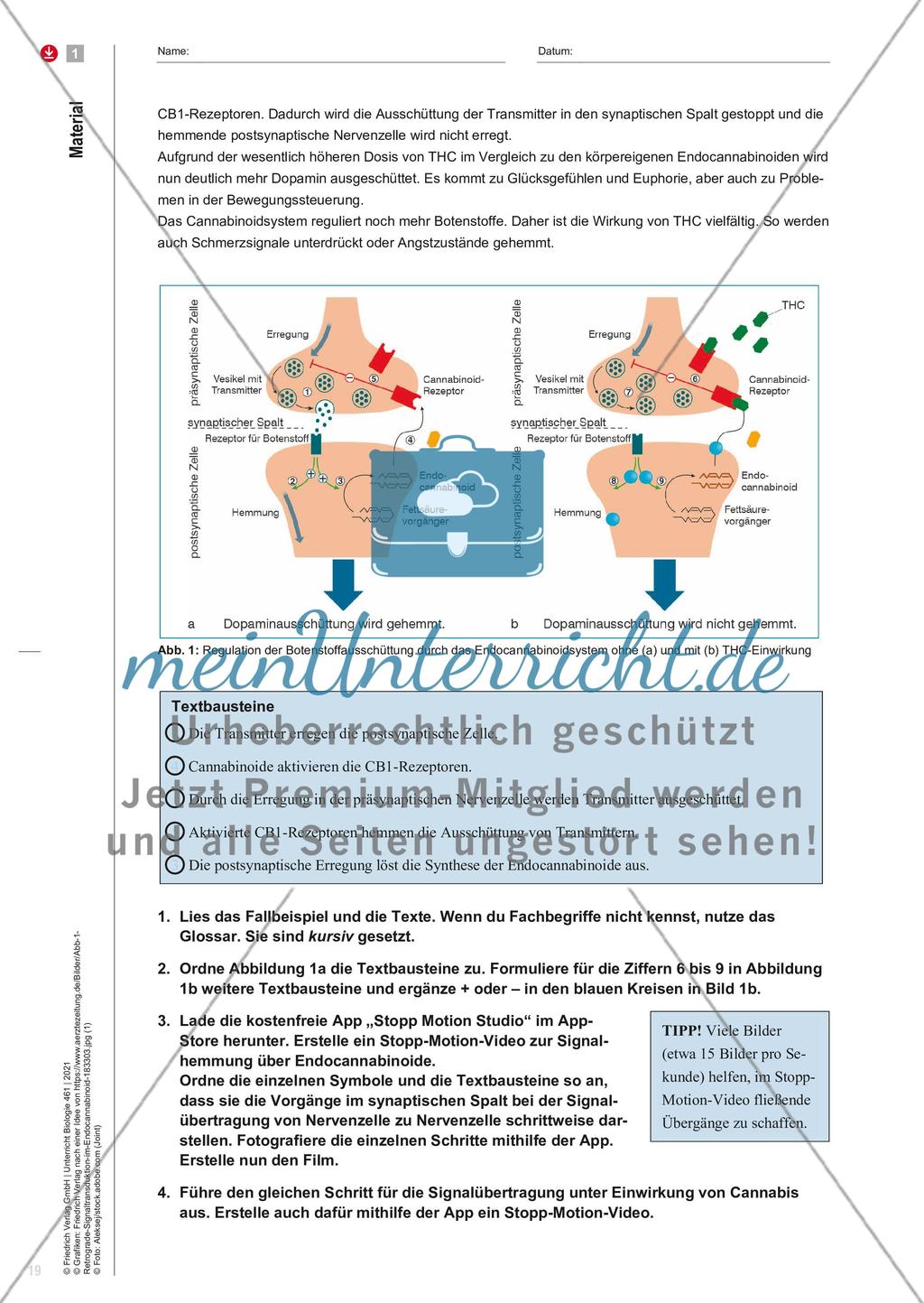Erst „high“, dann „down“! Preview 4