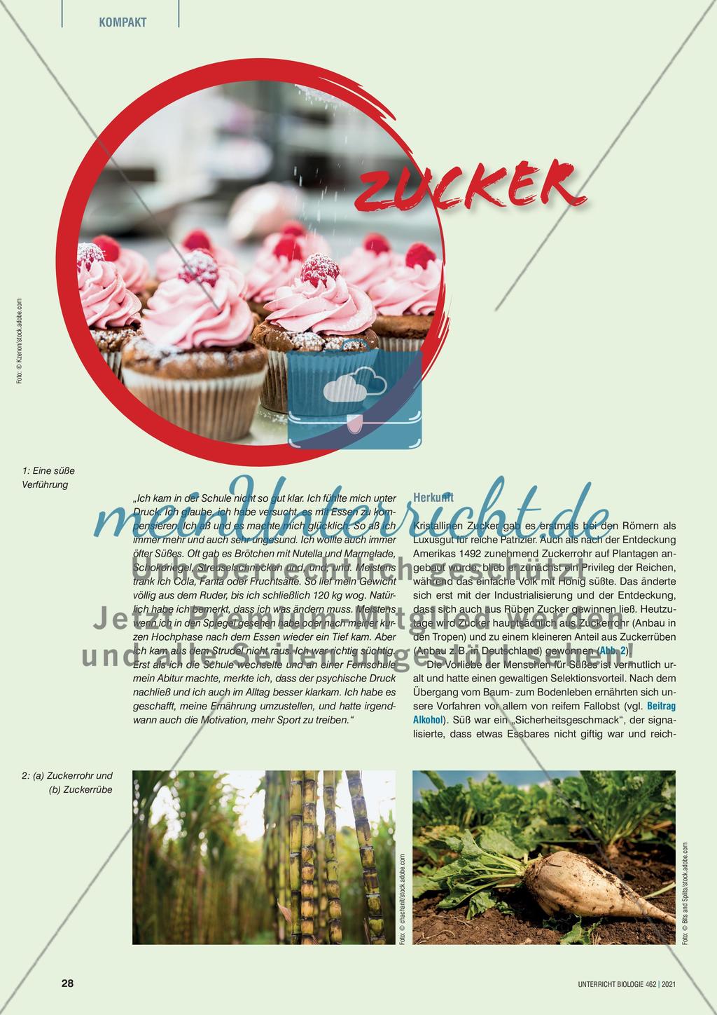 Zucker Preview 1