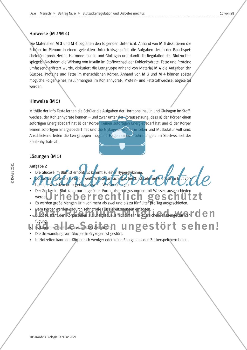 Blutzuckerregulation im Überblick / Verzahnung des Kohlenhydrat-, Protein- und Fettstoffwechsels Preview 7