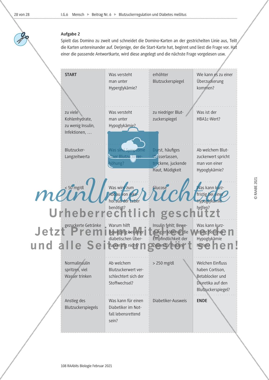 Stoffwechselentgleisungen – Hypo- und Hyperglykämie Preview 5