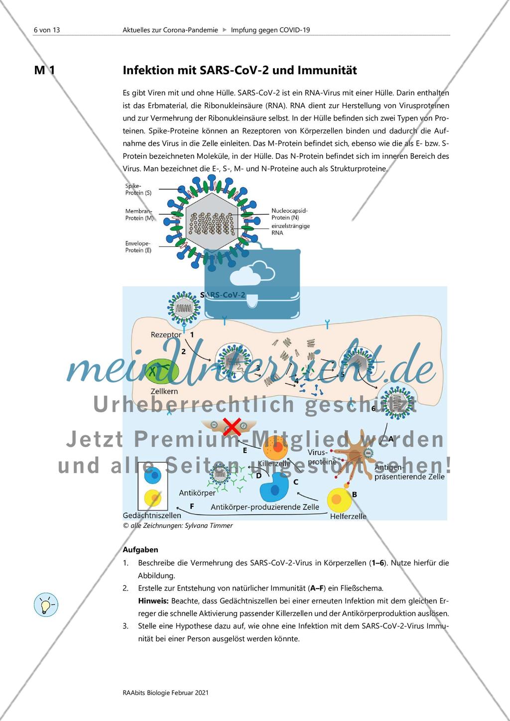 Impfung gegen COVID-19 Preview 6