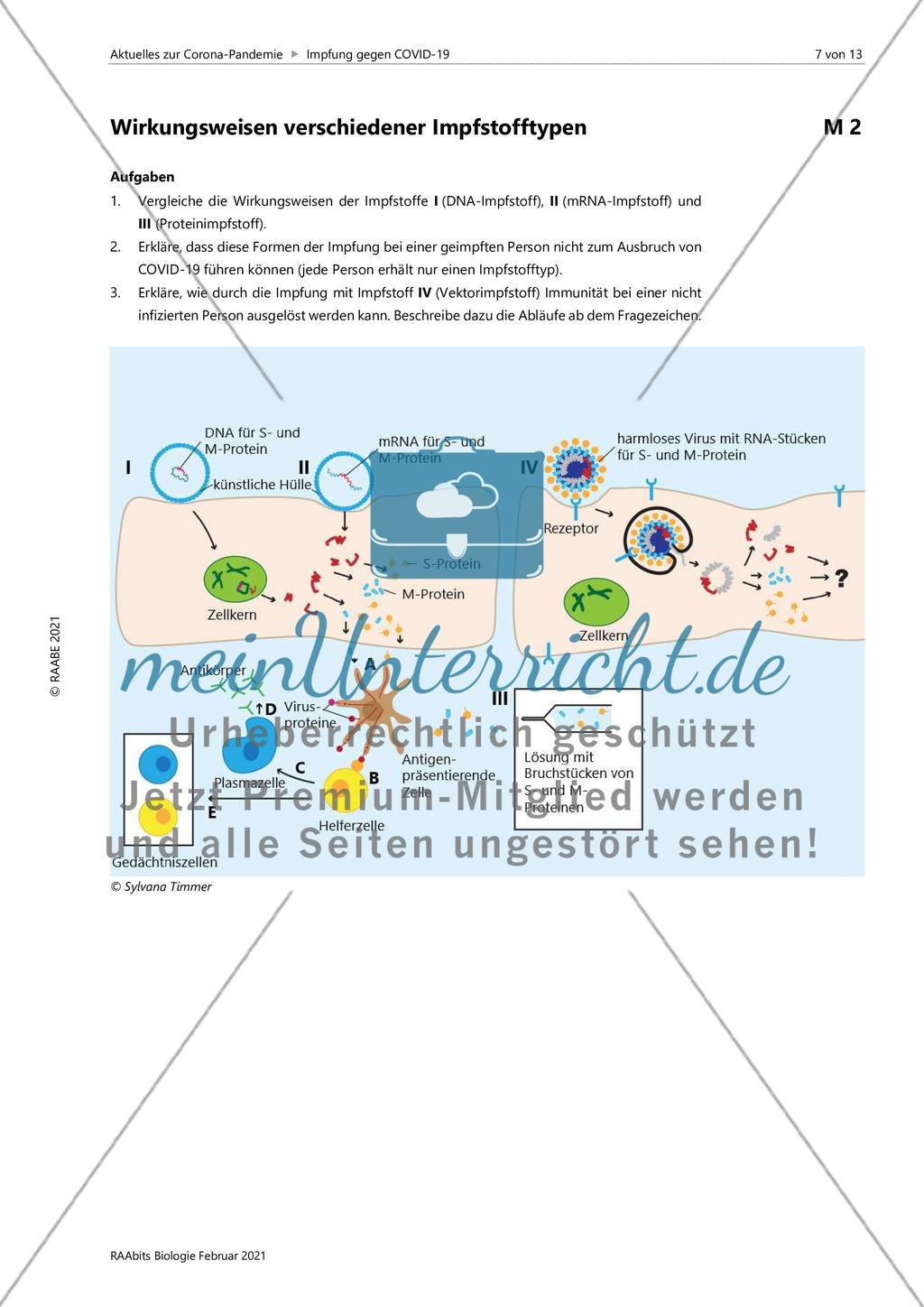 Impfung gegen COVID-19 Preview 7