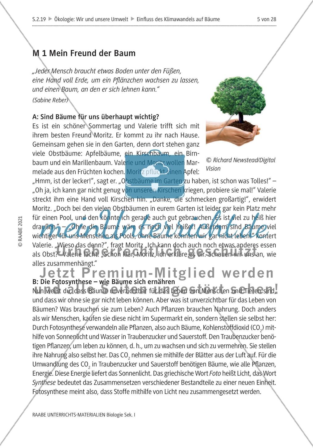Einfluss des Klimawandels auf Bäume - M1-M2 Preview 1