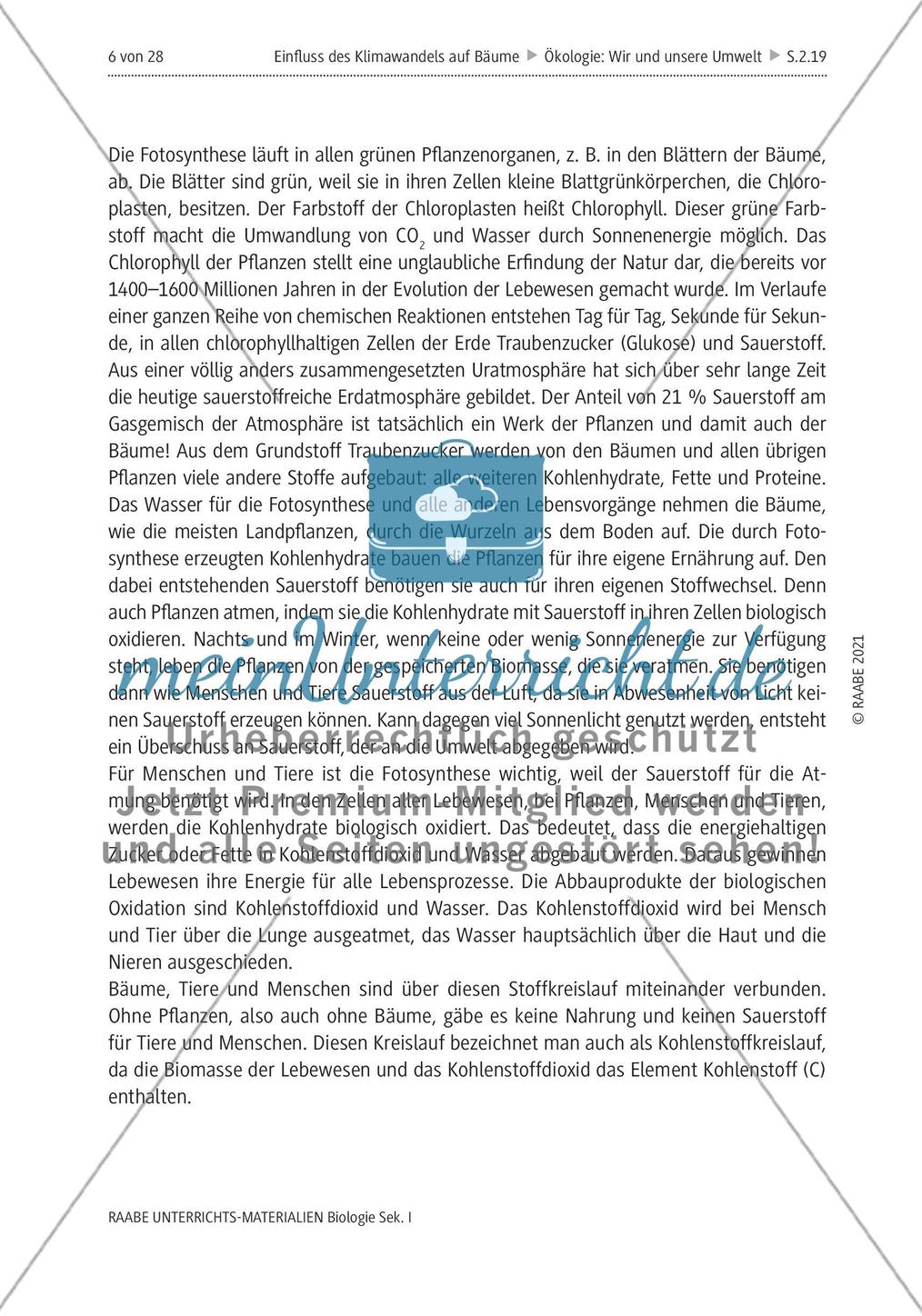 Einfluss des Klimawandels auf Bäume - M1-M2 Preview 2