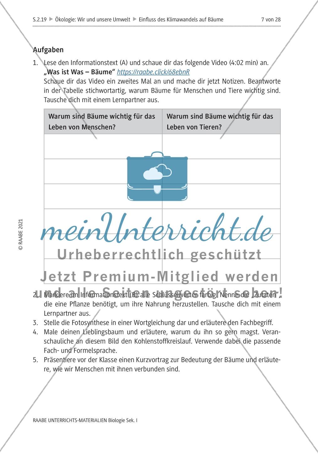 Einfluss des Klimawandels auf Bäume - M1-M2 Preview 3