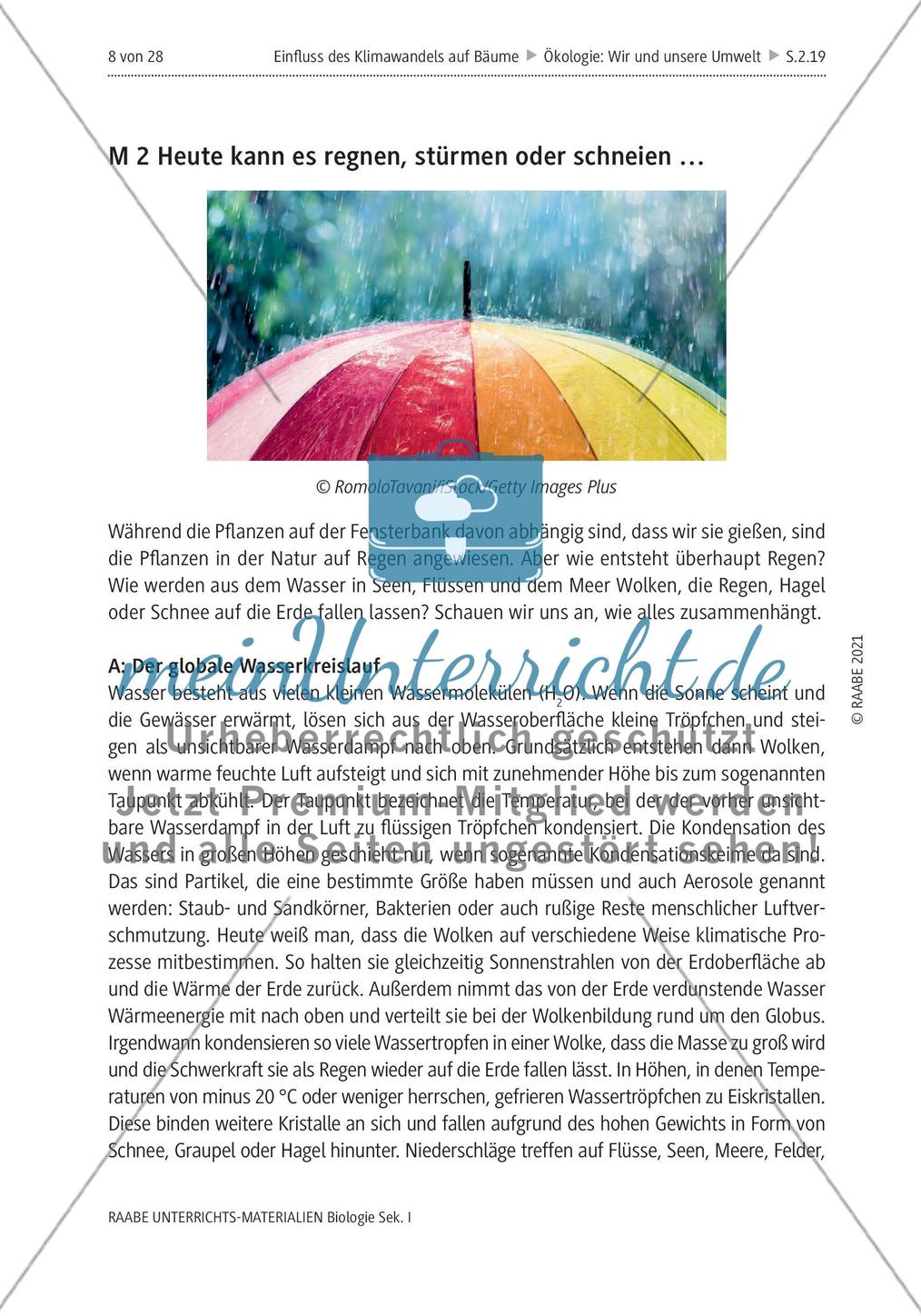 Einfluss des Klimawandels auf Bäume - M1-M2 Preview 4