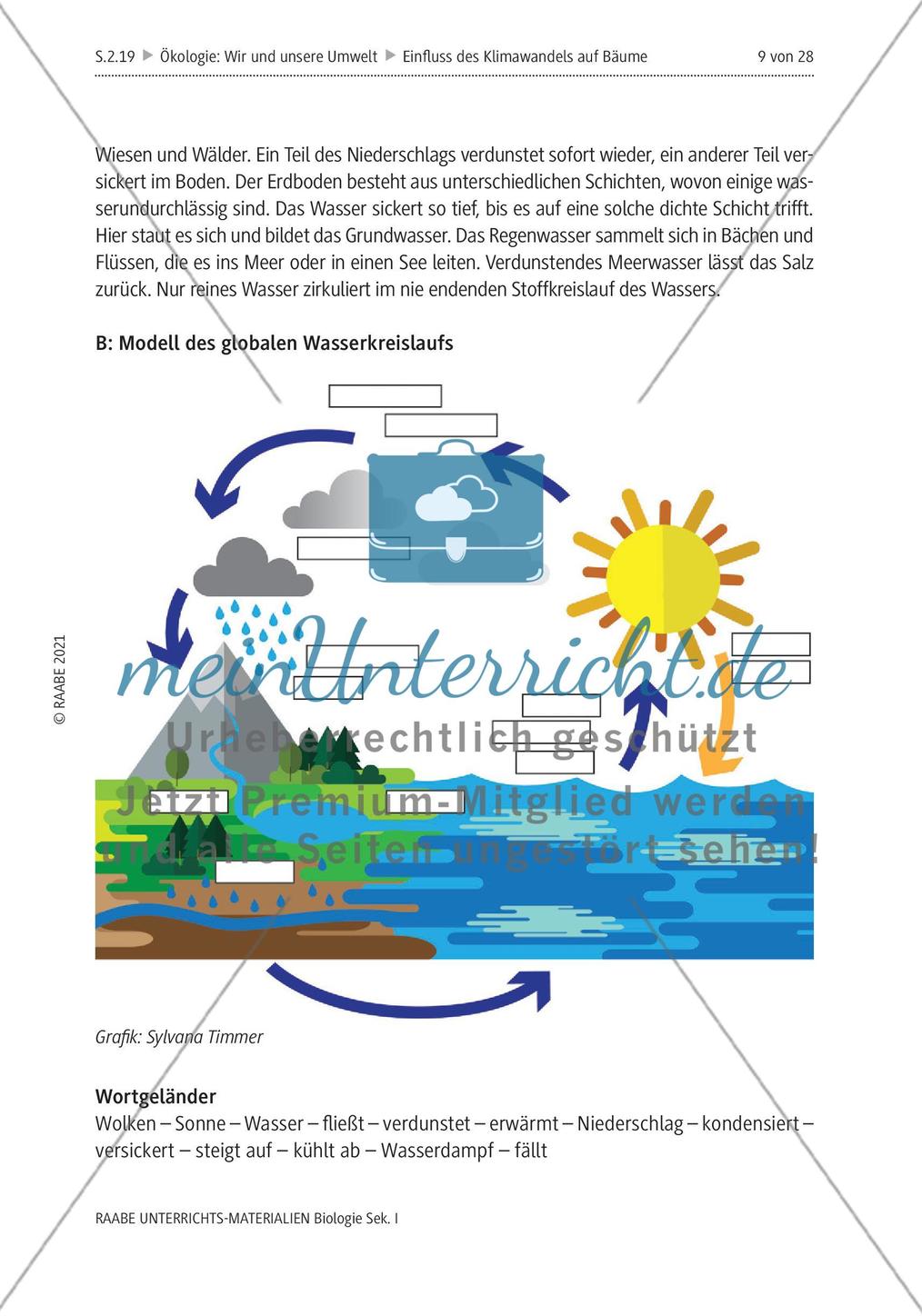 Einfluss des Klimawandels auf Bäume - M1-M2 Preview 5