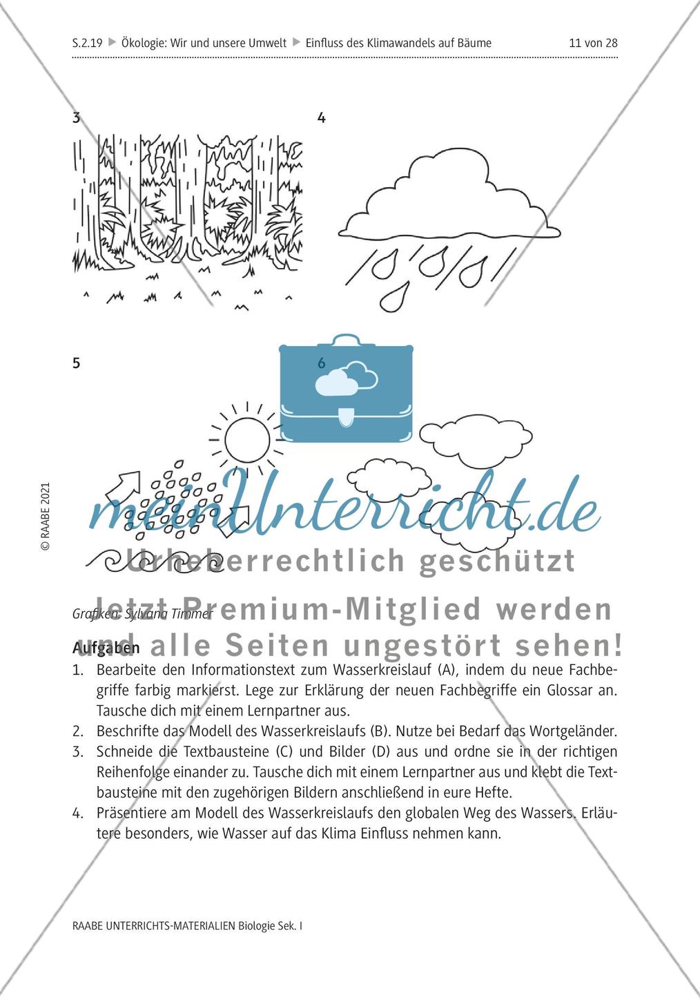Einfluss des Klimawandels auf Bäume - M1-M2 Preview 7