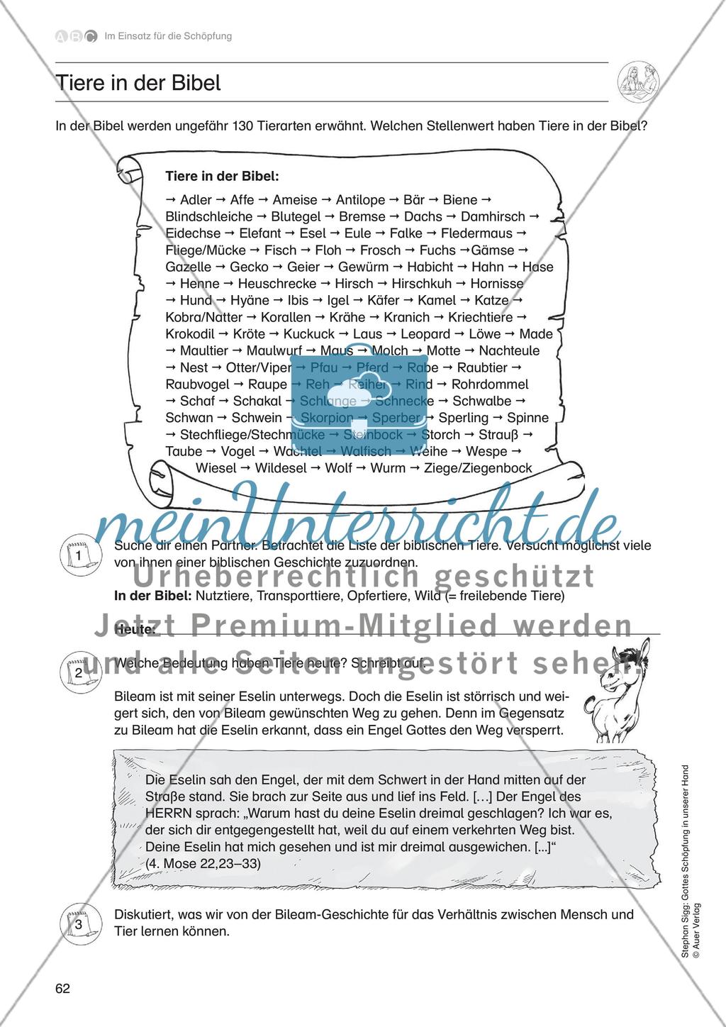 Im Einsatz für die Schöpfung - Teil 1 Preview 12