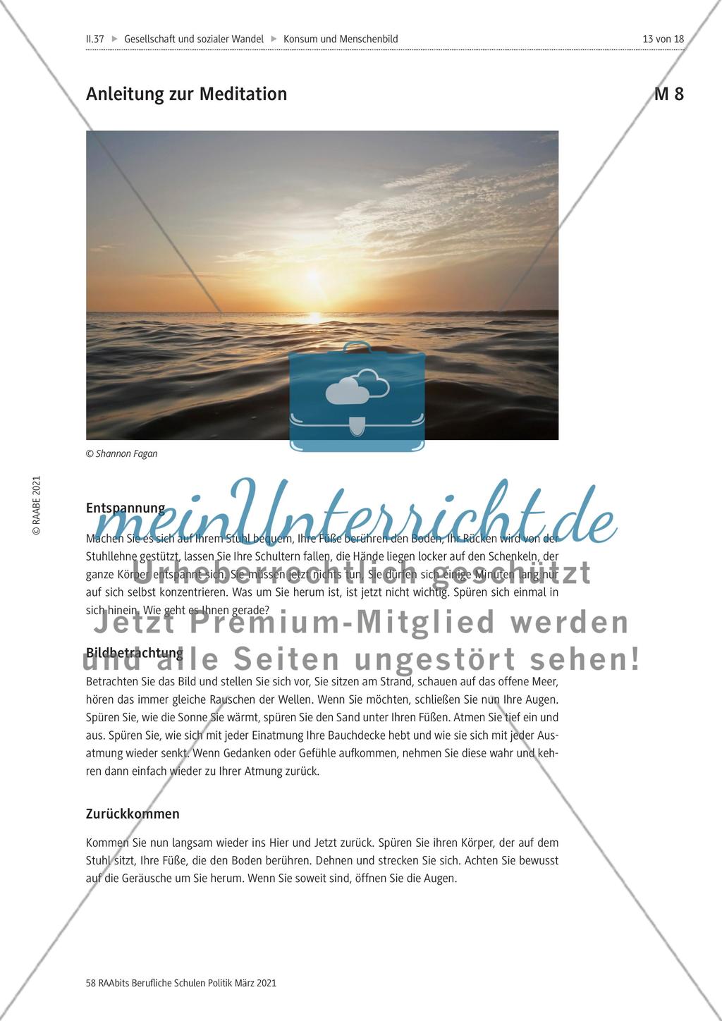 Der Mensch in der Komsumgesellschaft - Preview 13