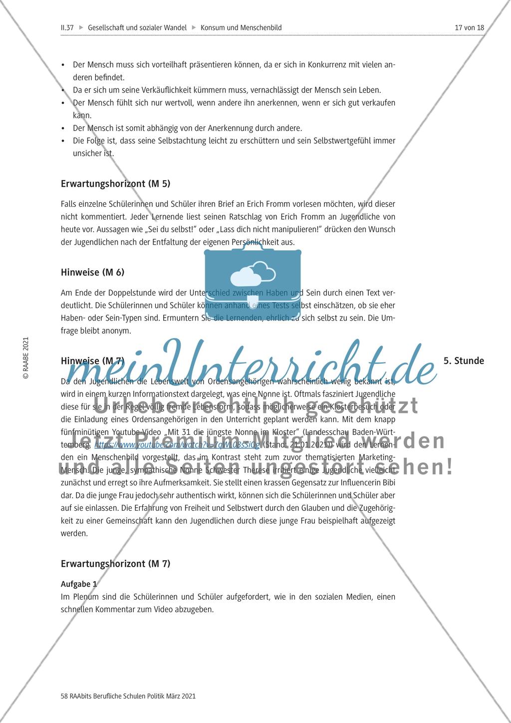 Der Mensch in der Komsumgesellschaft - Preview 17