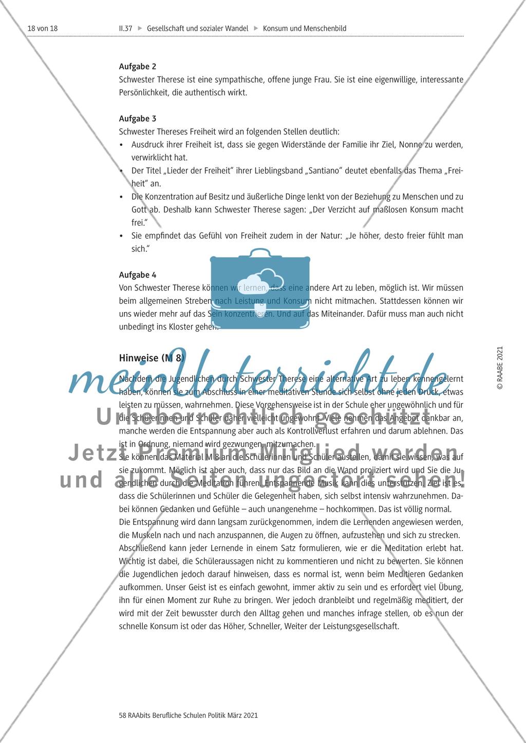Der Mensch in der Komsumgesellschaft - Preview 18