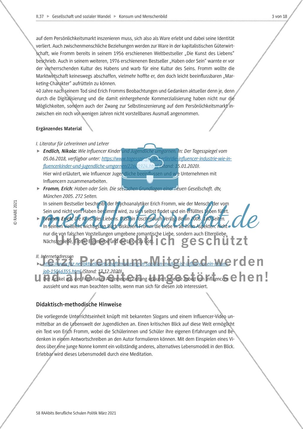 Der Mensch in der Komsumgesellschaft - Preview 3