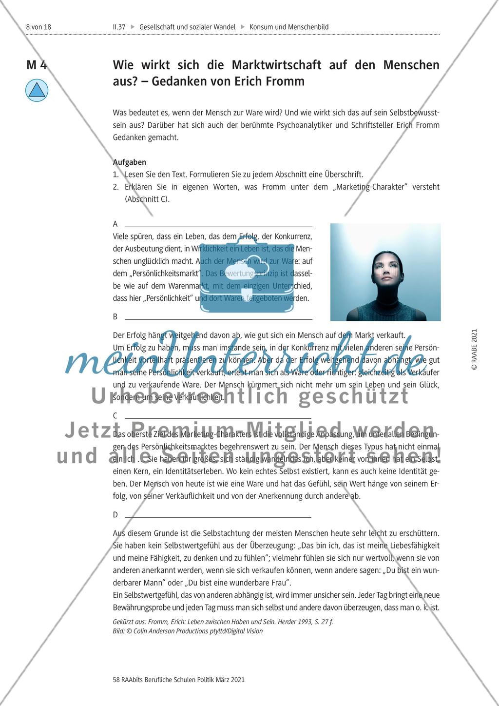 Der Mensch in der Komsumgesellschaft - Preview 8