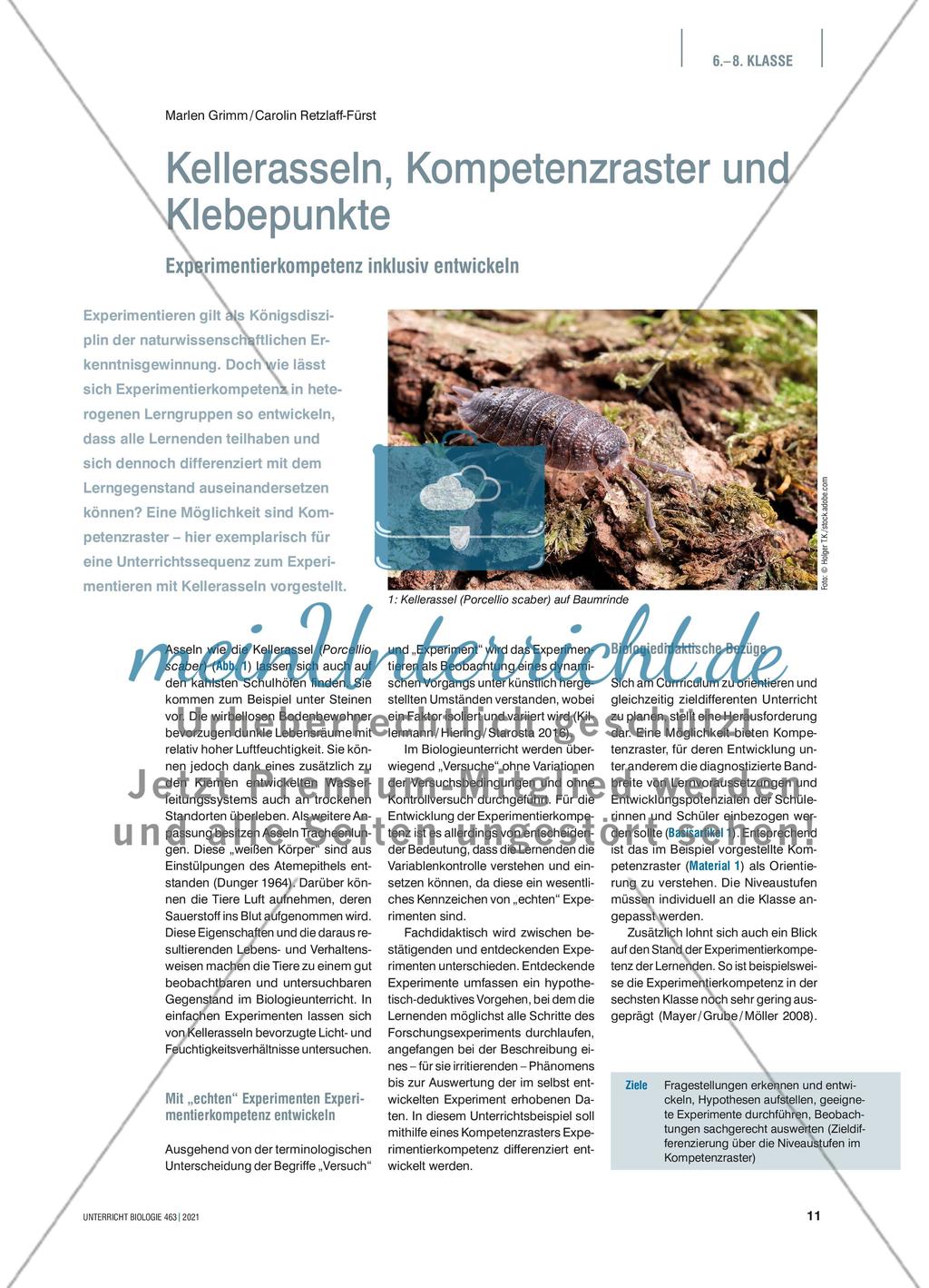 Kellerasseln, Kompetenzraster und Klebepunkte Preview 1
