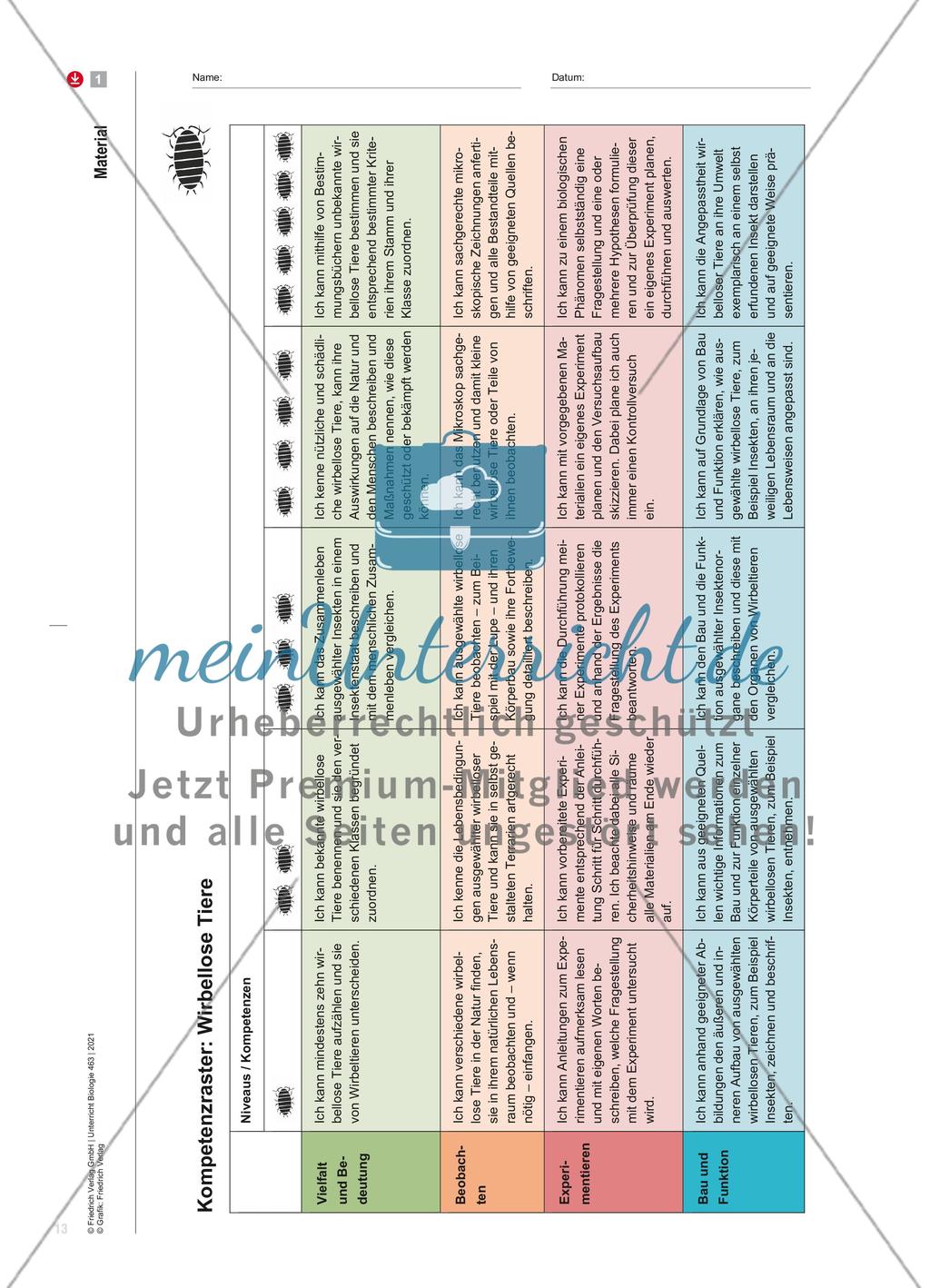Kellerasseln, Kompetenzraster und Klebepunkte Preview 3