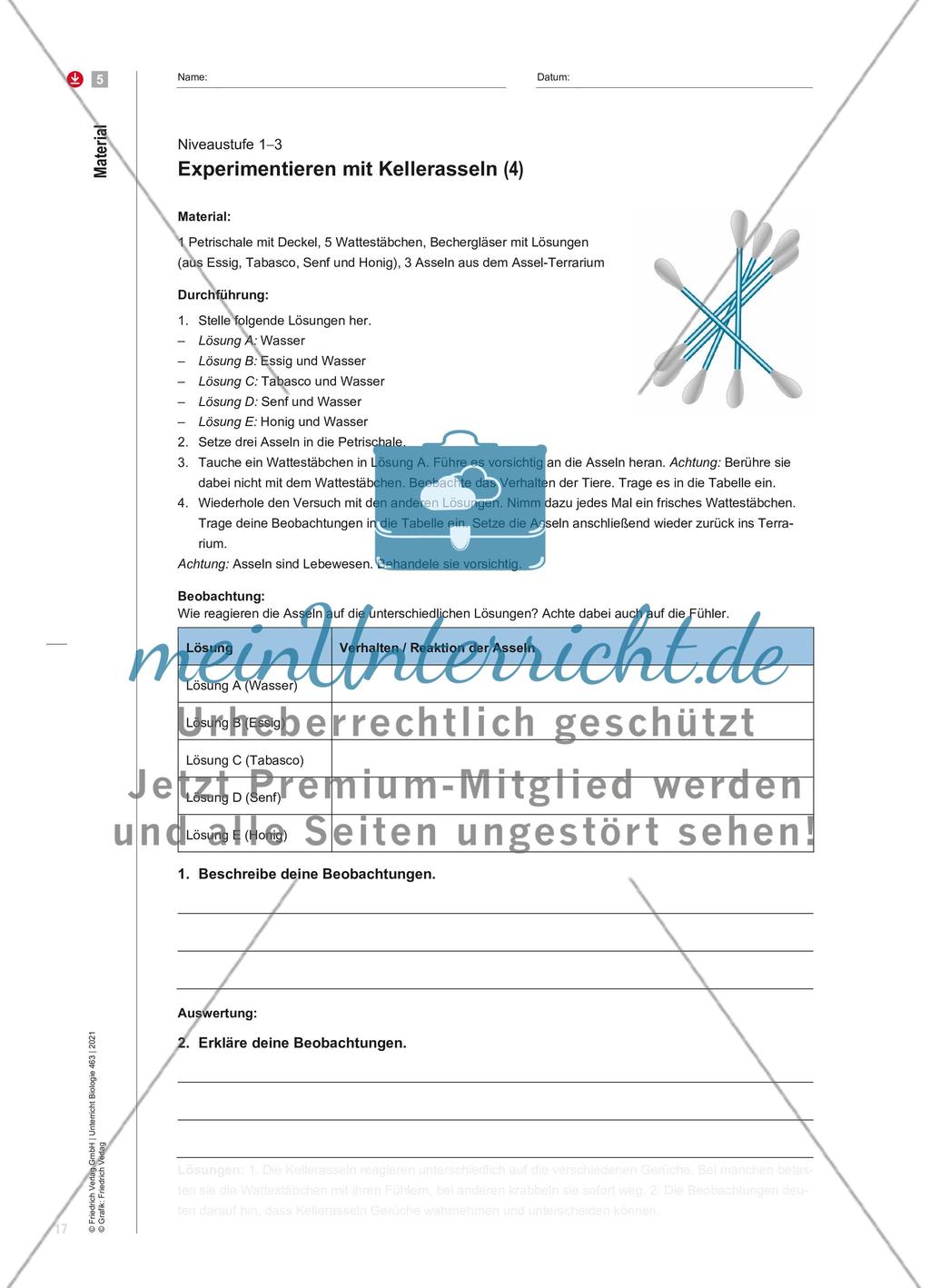 Kellerasseln, Kompetenzraster und Klebepunkte Preview 7