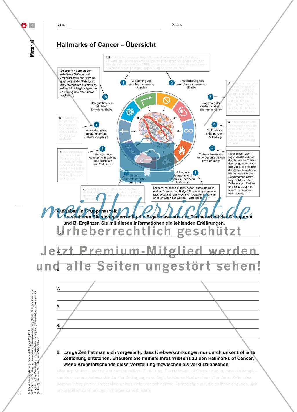 Diagnose: Krebs Preview 6
