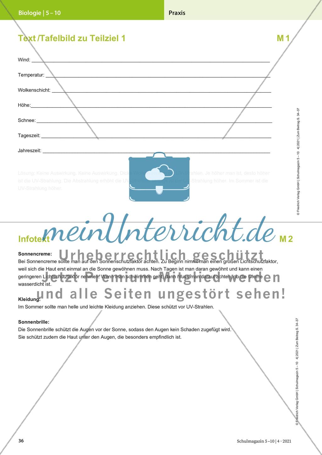 Sommer, Sonne, Sonnenbrand Preview 3