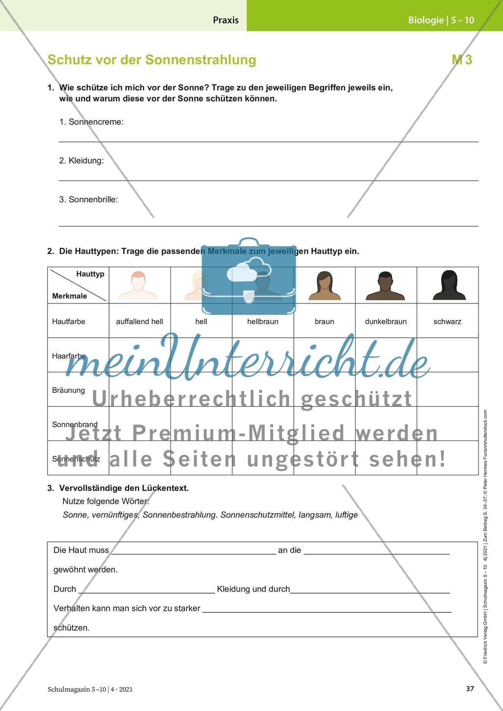 Sommer, Sonne, Sonnenbrand Preview 4