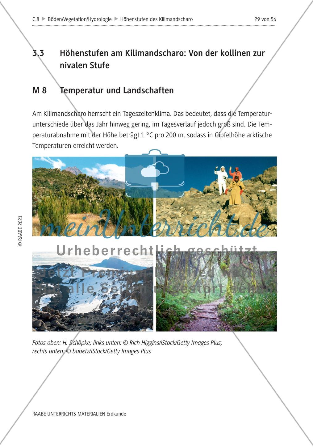 Höhenstufen und Vegetationszonen am Kilimandscharo erleben - M8-M13 Preview 1