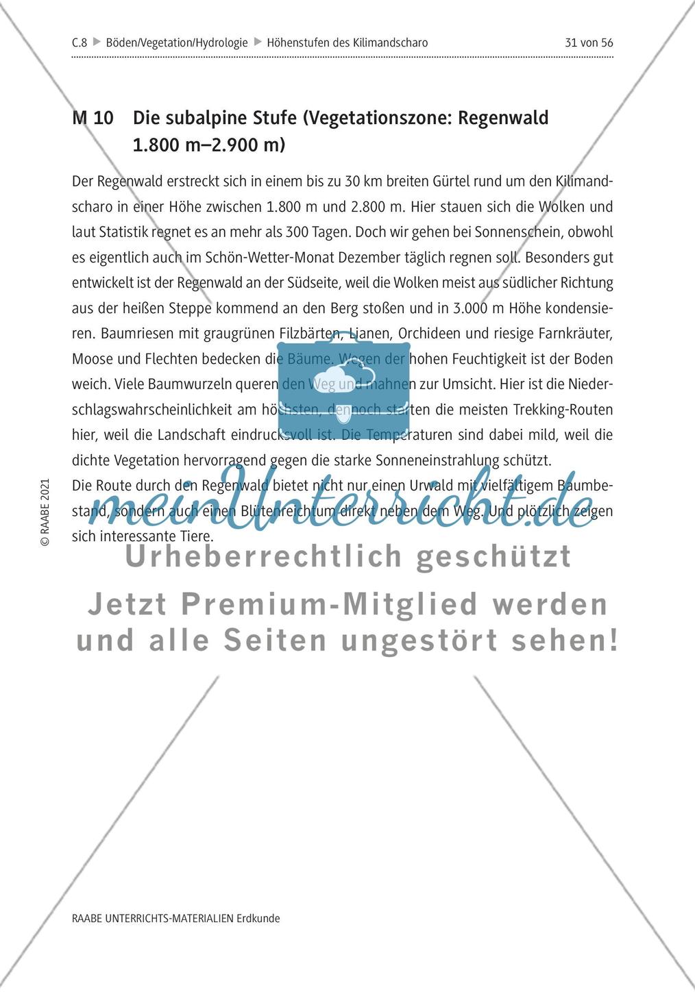 Höhenstufen und Vegetationszonen am Kilimandscharo erleben - M8-M13 Preview 3