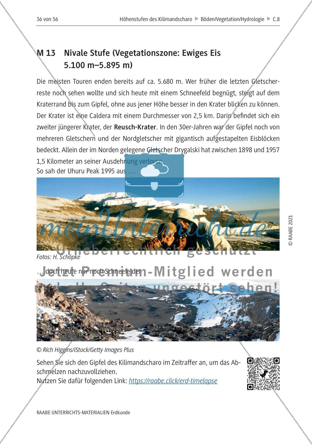 Höhenstufen und Vegetationszonen am Kilimandscharo erleben - M8-M13 Preview 8