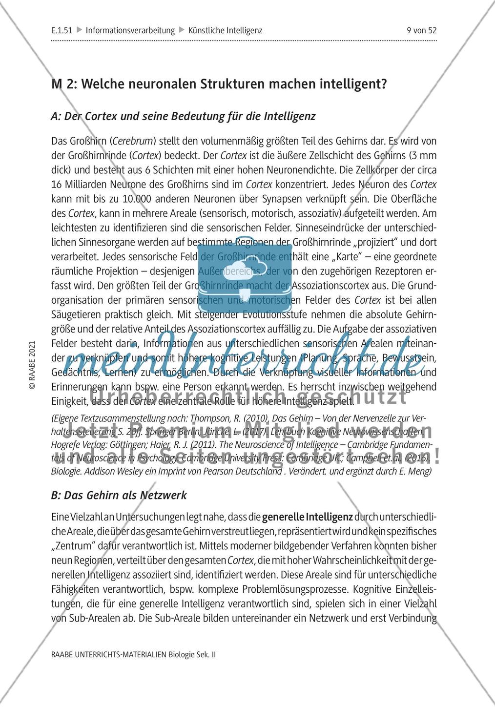 Natürliche Intelligenz vs. künstliche Intelligenz (KI) - M1-M2 Preview 4