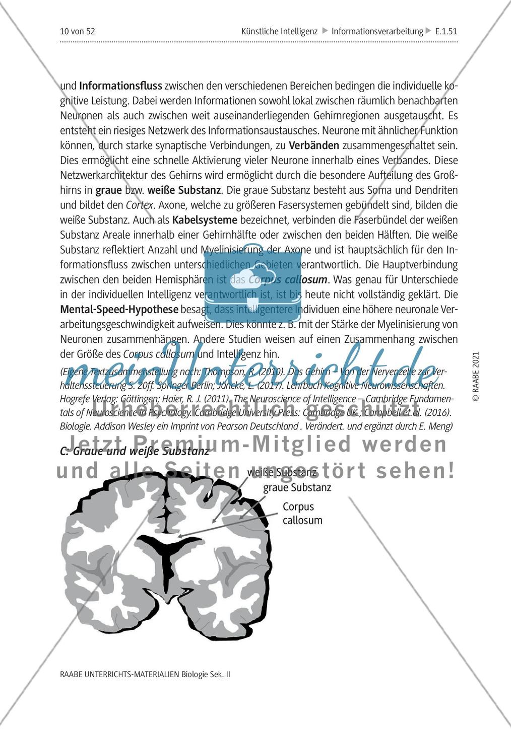 Natürliche Intelligenz vs. künstliche Intelligenz (KI) - M1-M2 Preview 5