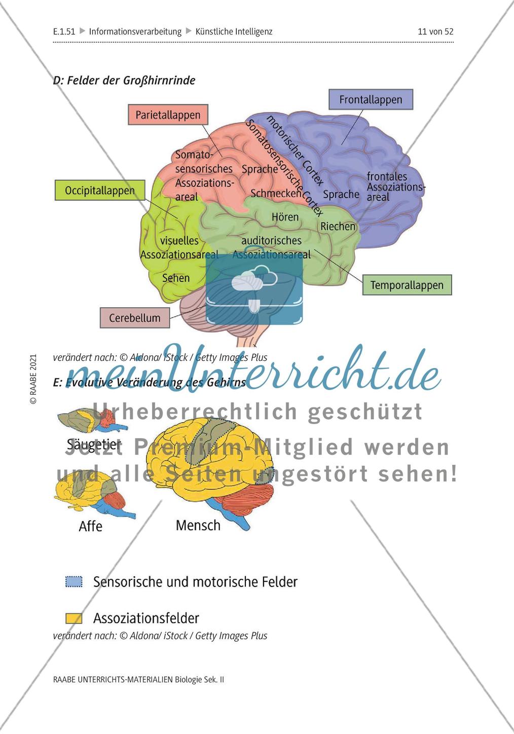 Natürliche Intelligenz vs. künstliche Intelligenz (KI) - M1-M2 Preview 6