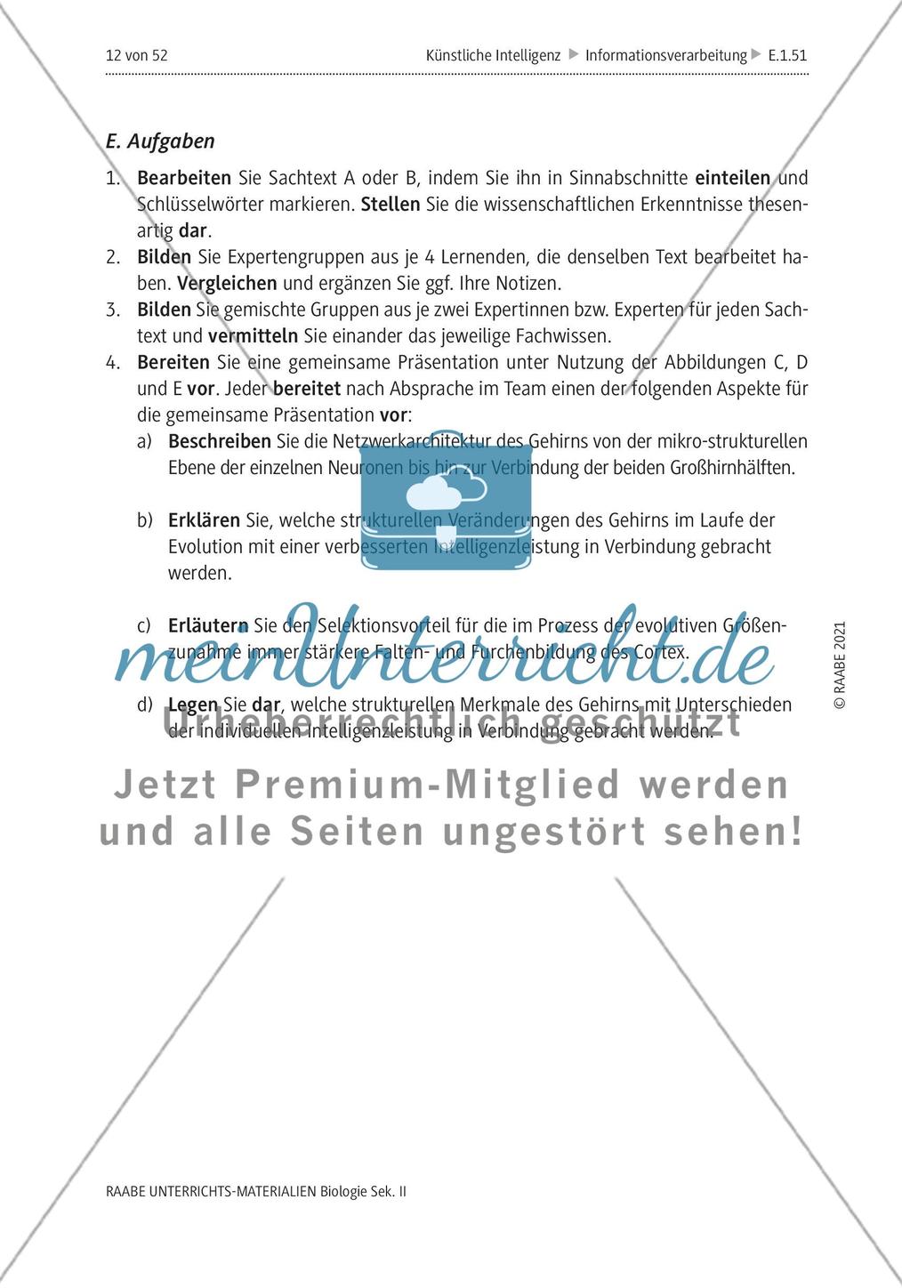 Natürliche Intelligenz vs. künstliche Intelligenz (KI) - M1-M2 Preview 7