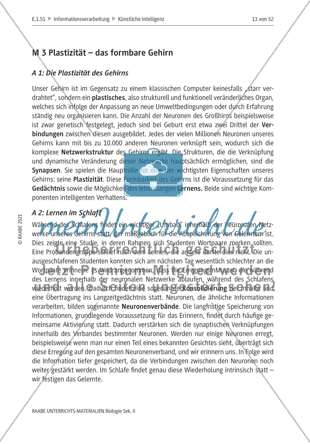 Natürliche Intelligenz vs. künstliche Intelligenz (KI) - M3-M5 Preview 1