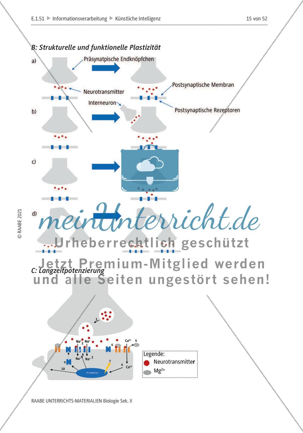 Natürliche Intelligenz vs. künstliche Intelligenz (KI) - M3-M5 Preview 3