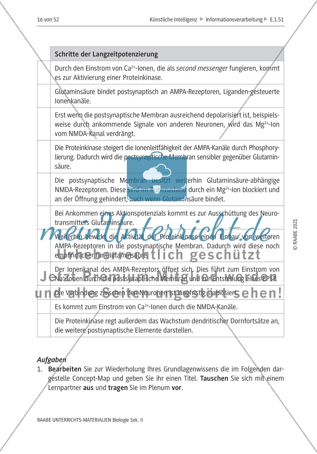 Natürliche Intelligenz vs. künstliche Intelligenz (KI) - M3-M5 Preview 4