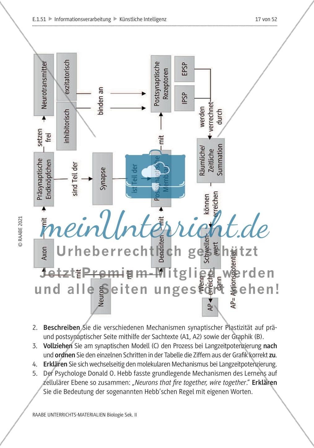 Natürliche Intelligenz vs. künstliche Intelligenz (KI) - M3-M5 Preview 5