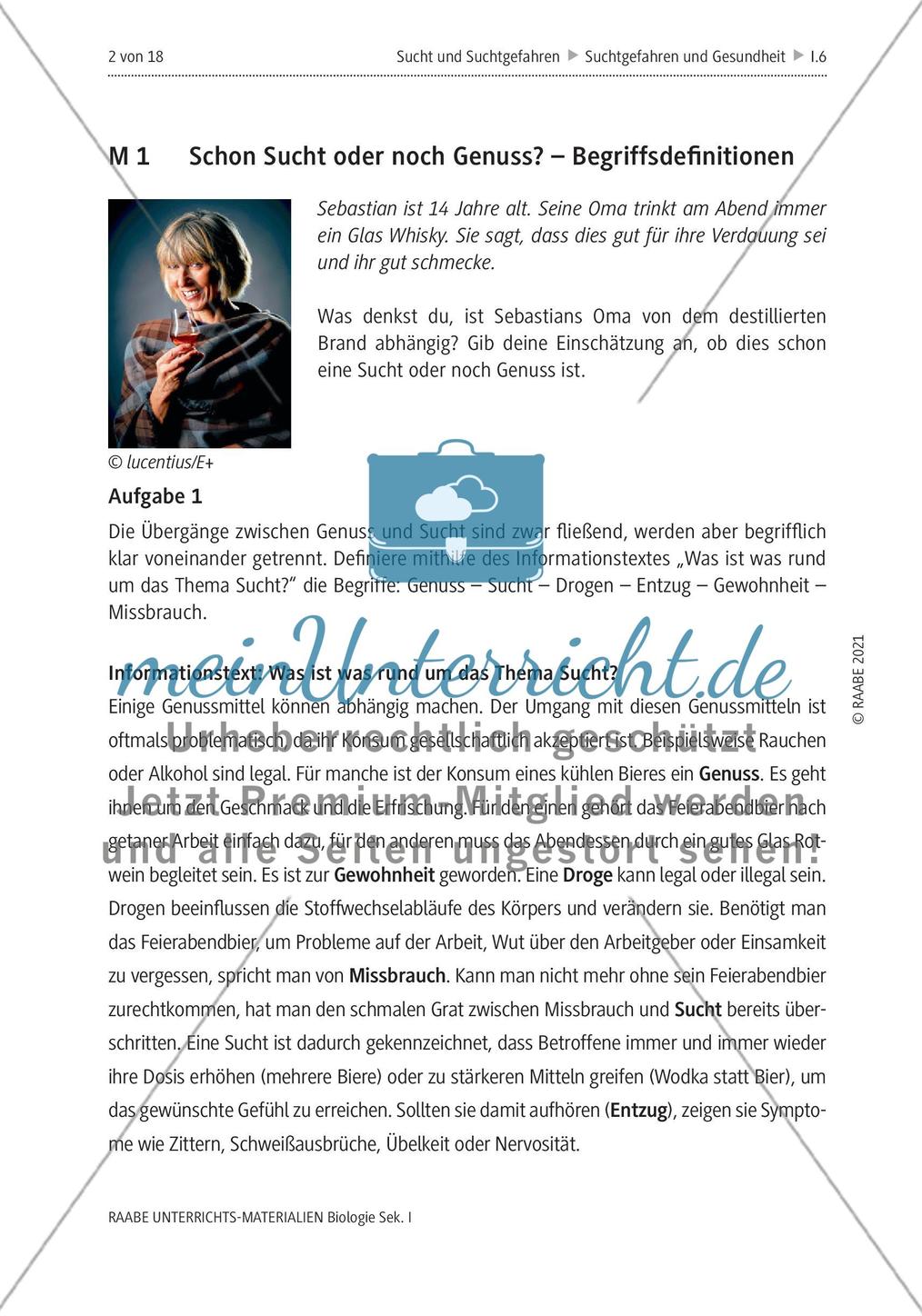 Sucht und Suchtgefahren - M1-M4 Preview 1