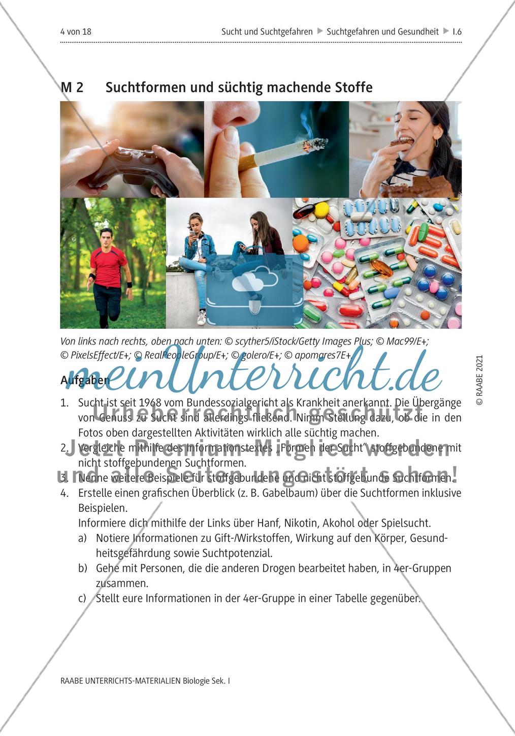 Sucht und Suchtgefahren - M1-M4 Preview 3
