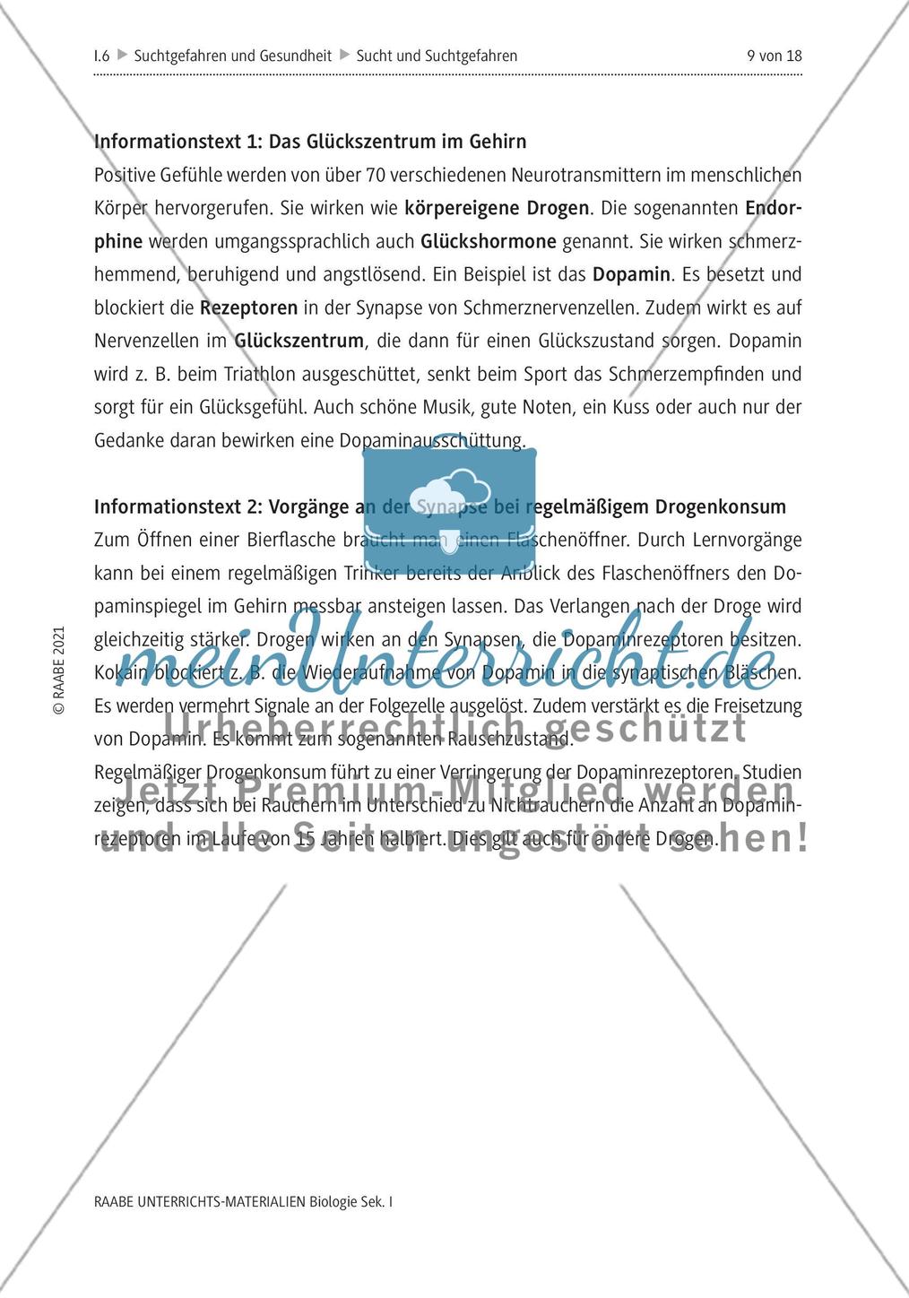 Sucht und Suchtgefahren - M1-M4 Preview 8