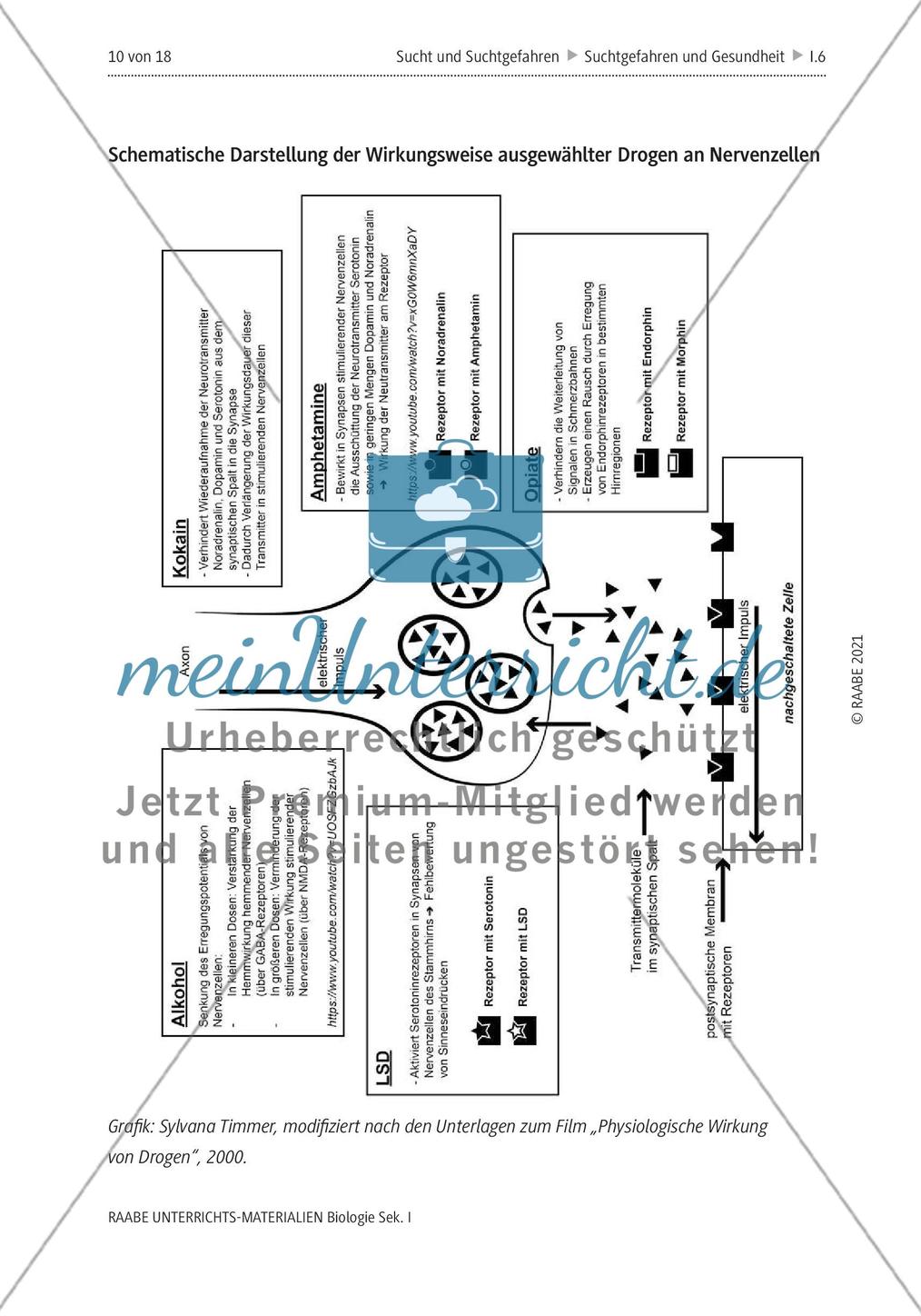 Sucht und Suchtgefahren - M1-M4 Preview 9