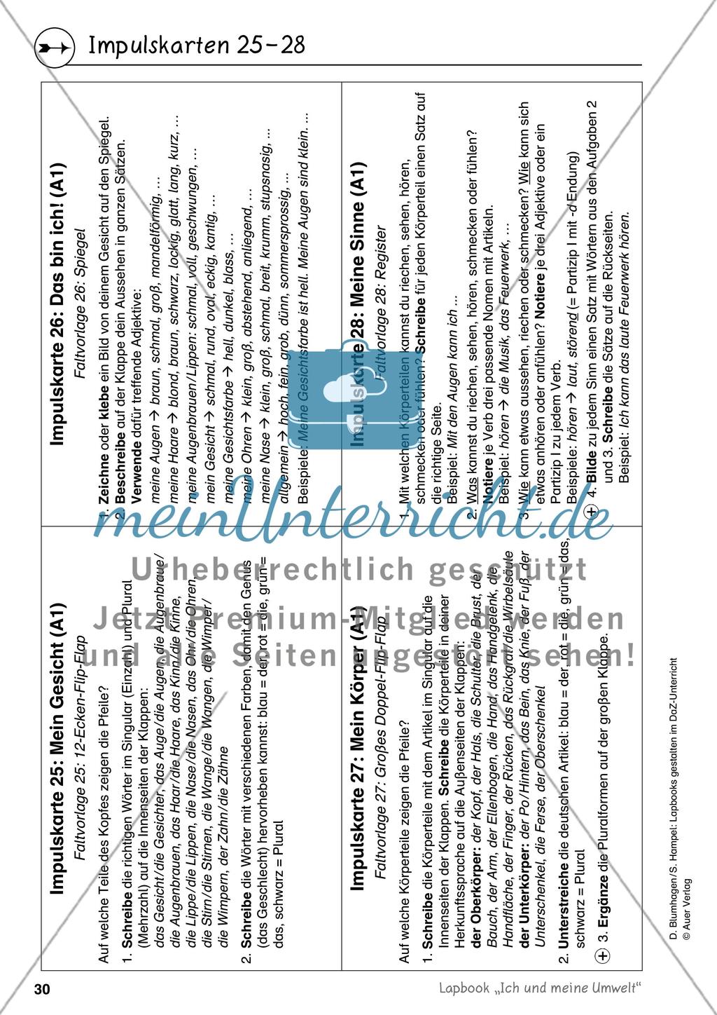 Lapbook