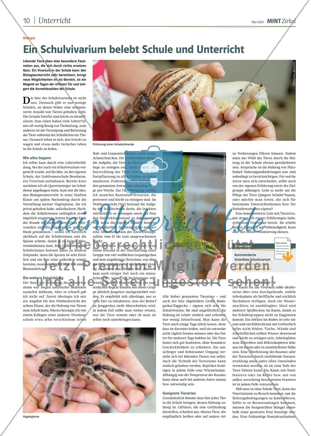 MINT Zirkel - Ausgabe 2, Mai 2021 Preview 10