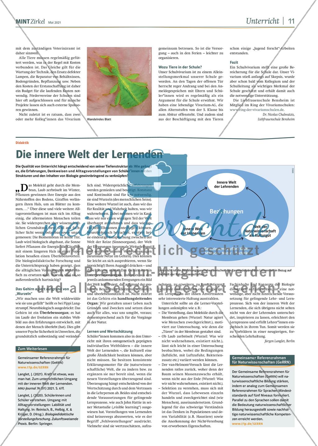 MINT Zirkel - Ausgabe 2, Mai 2021 Preview 11